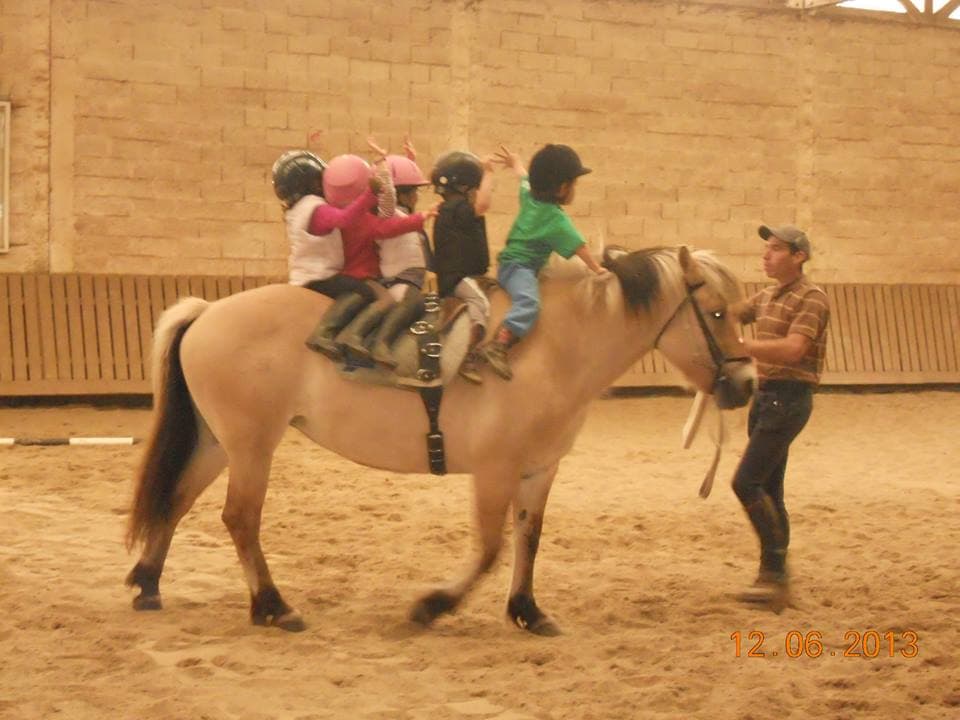 Centre équestre d'Egletons_1