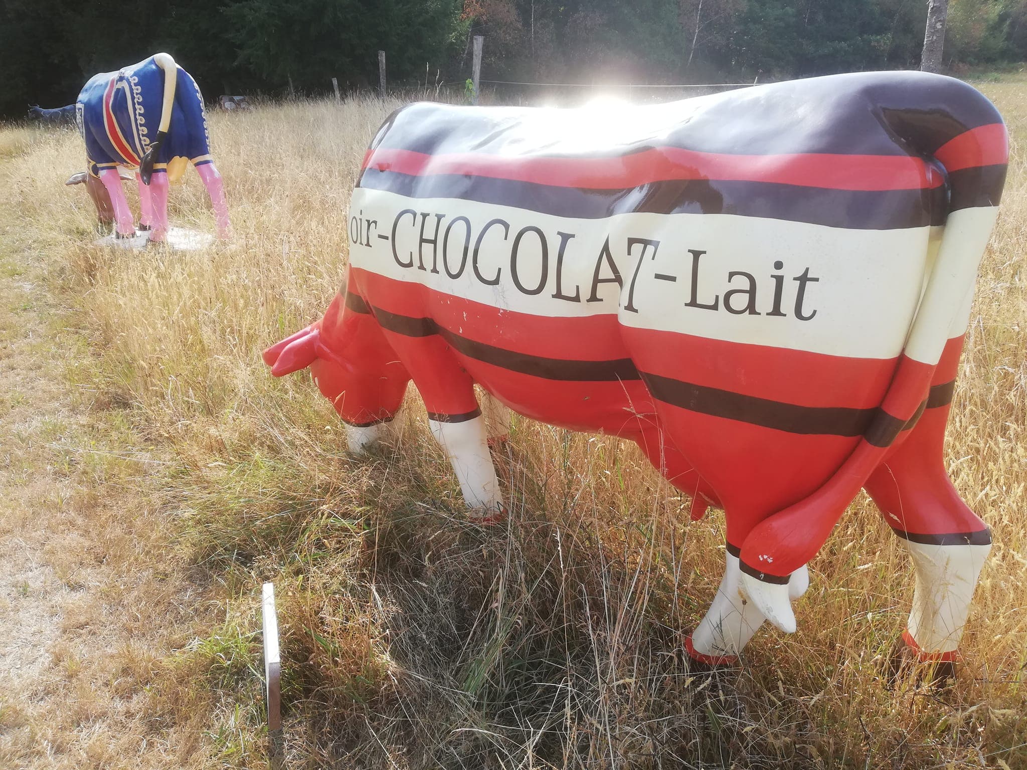 Exposition 'Finc art & cow"_2