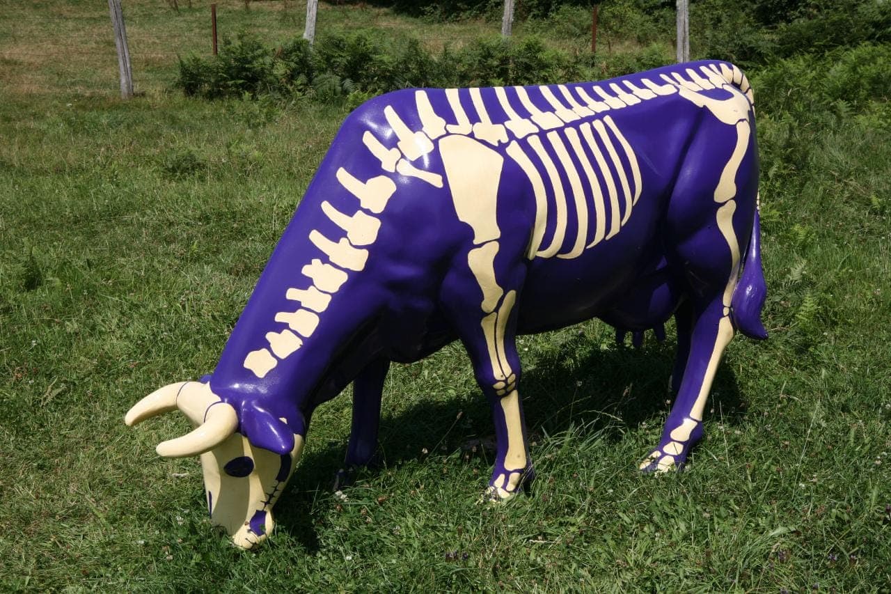 Exposition 'Finc art & cow"_3