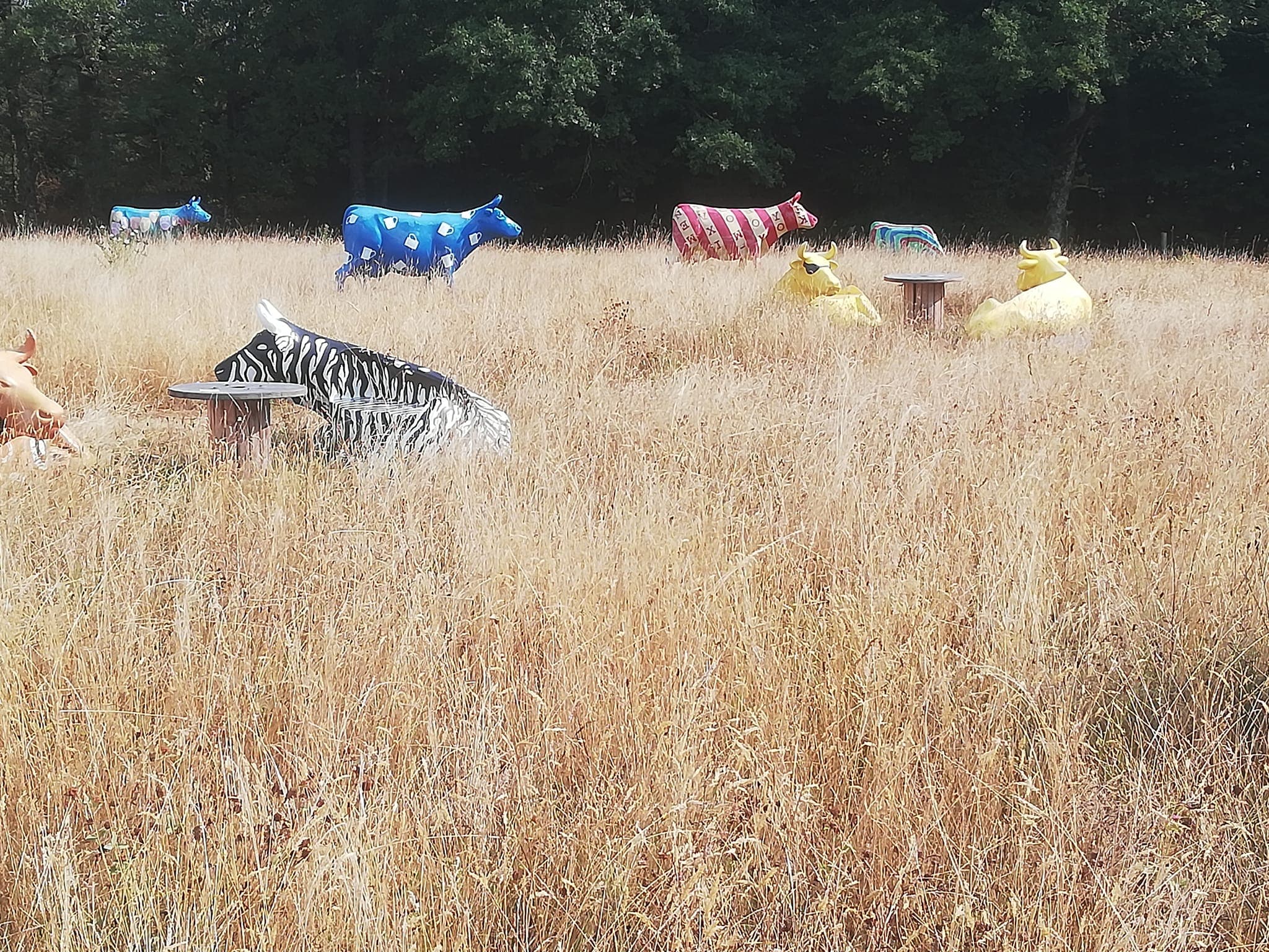 Exposition 'Finc art & cow"_4