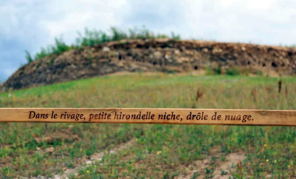 Réserve départementale de biodiversité d’Argentat-sur-Dordogne_10