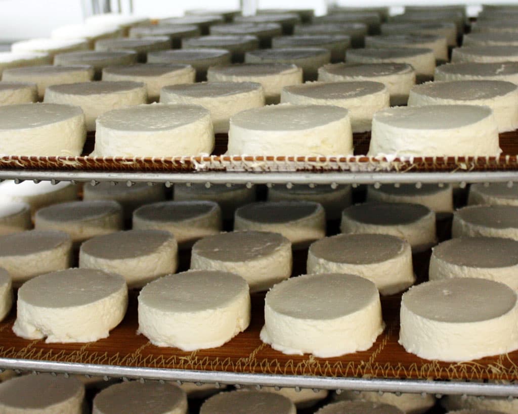 La fromagerie Varsoise_3