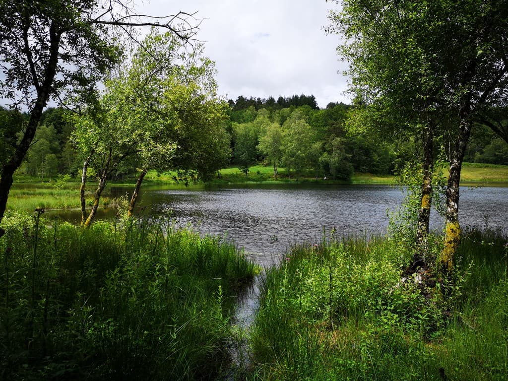 Aire d'accueil de camping-car du camping de Tarnac_4