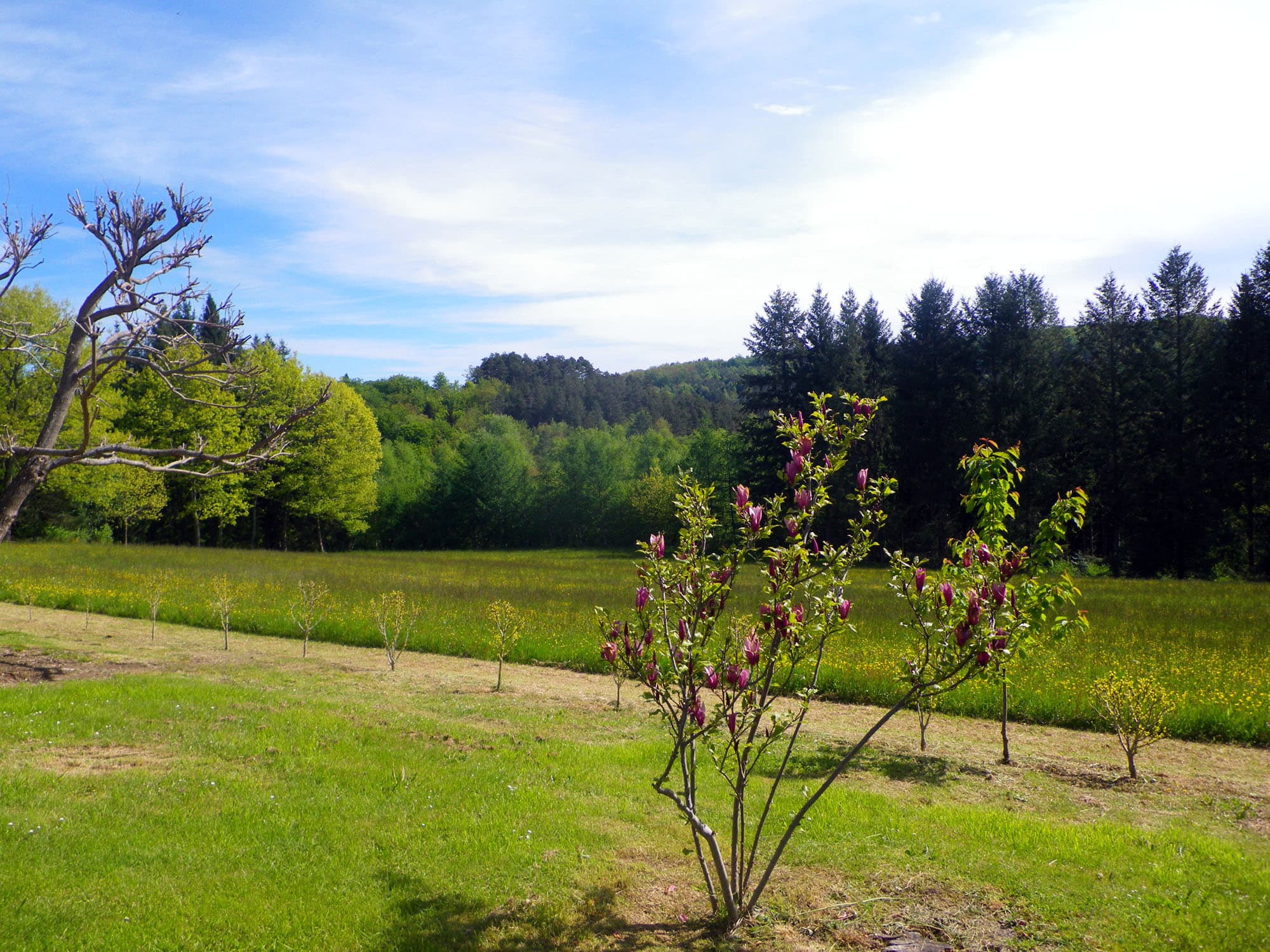 La Grange - Meublé de Tourisme CHASSAGNE_8