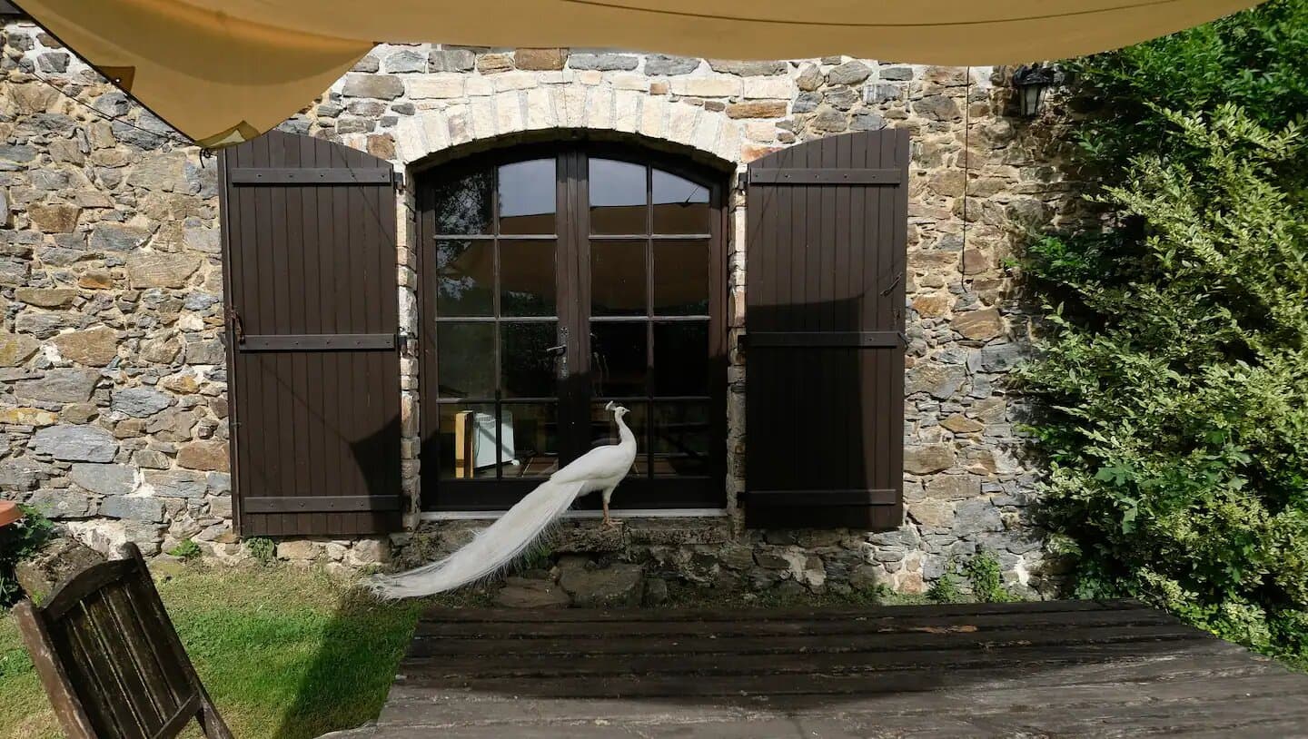 Meublé de Tourisme LE DOMAINE VERT_9