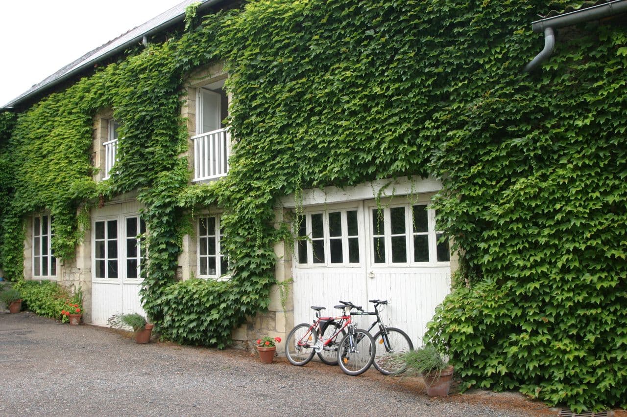 Meublé de Tourisme Le Clos des Féraux_1