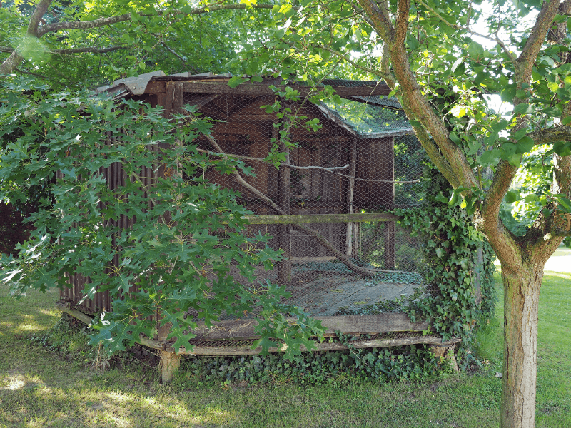 Jardin