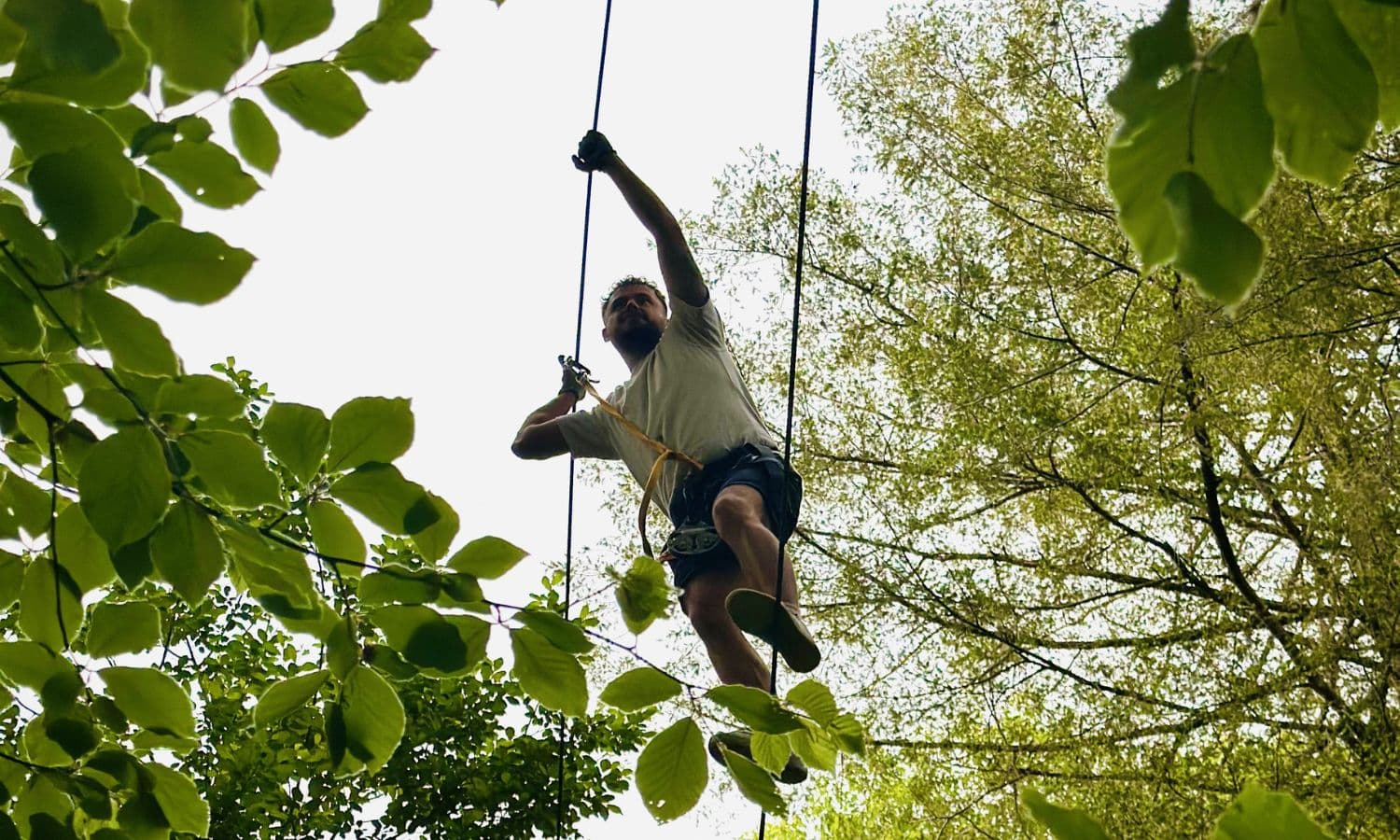 Accrobranche à Aventure Parc®Aramits