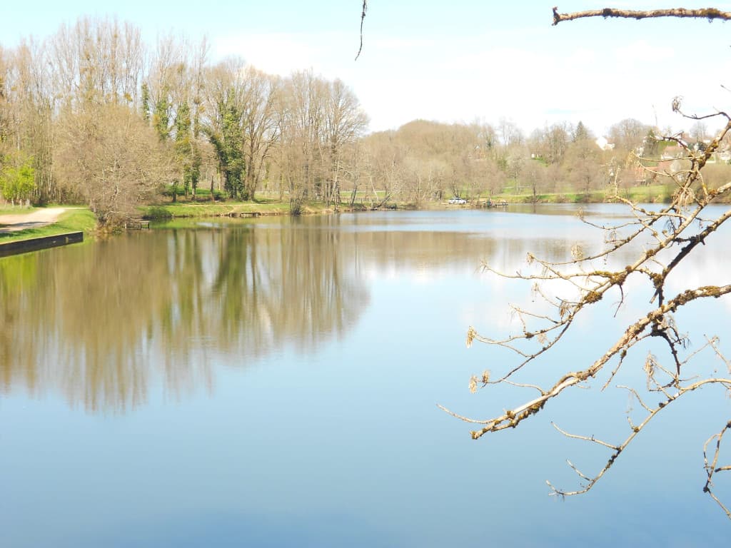 Etang Neuf_3
