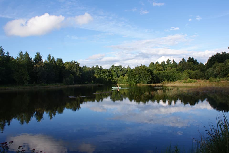 Réservoir du Moulin de Lachaud_5