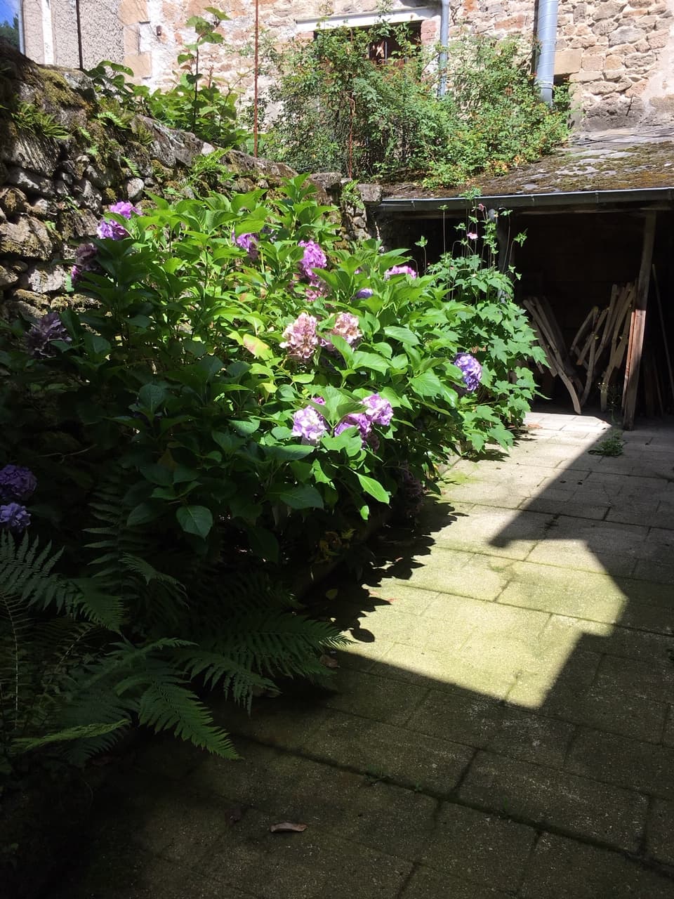 Location Corrèze Médiéval_8