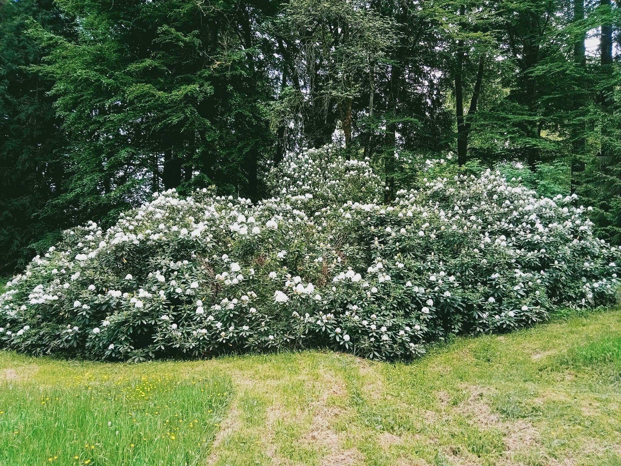 Parc Arboretum de Saint-Setiers_1