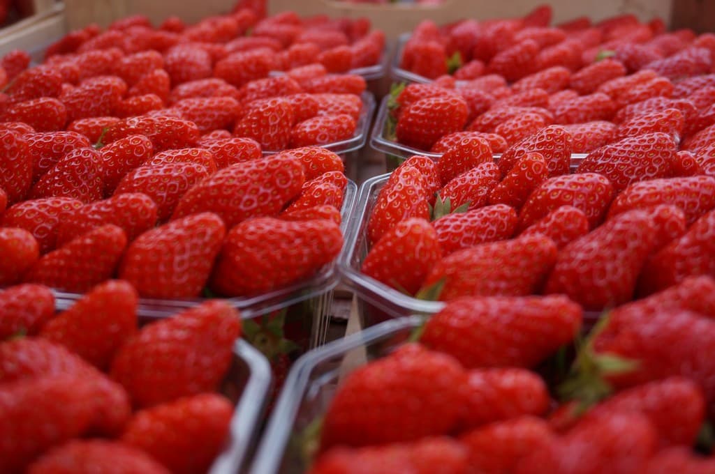 Marché Uzerchois_3