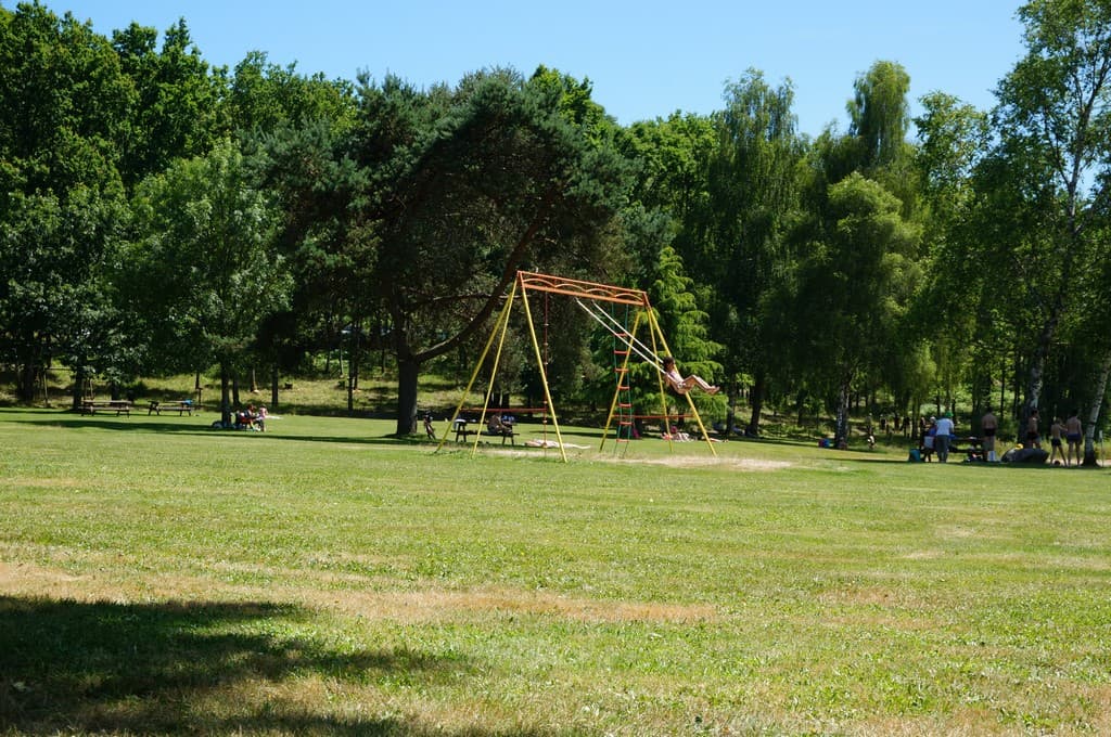 Aire de pique-nique du plan d'eau des Forges_2