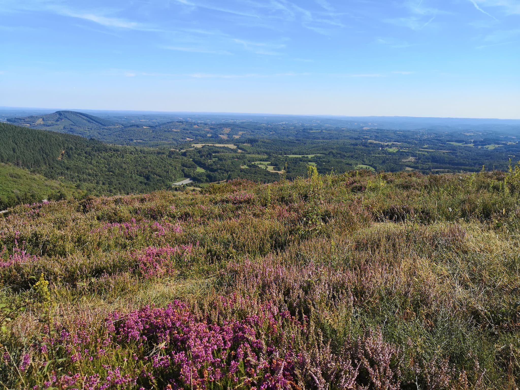 Puy de la Monédière_3
