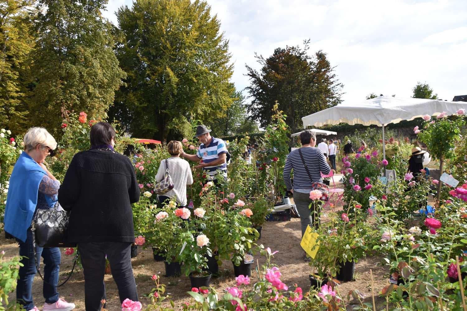 Fête des plantes à Pompadour_1