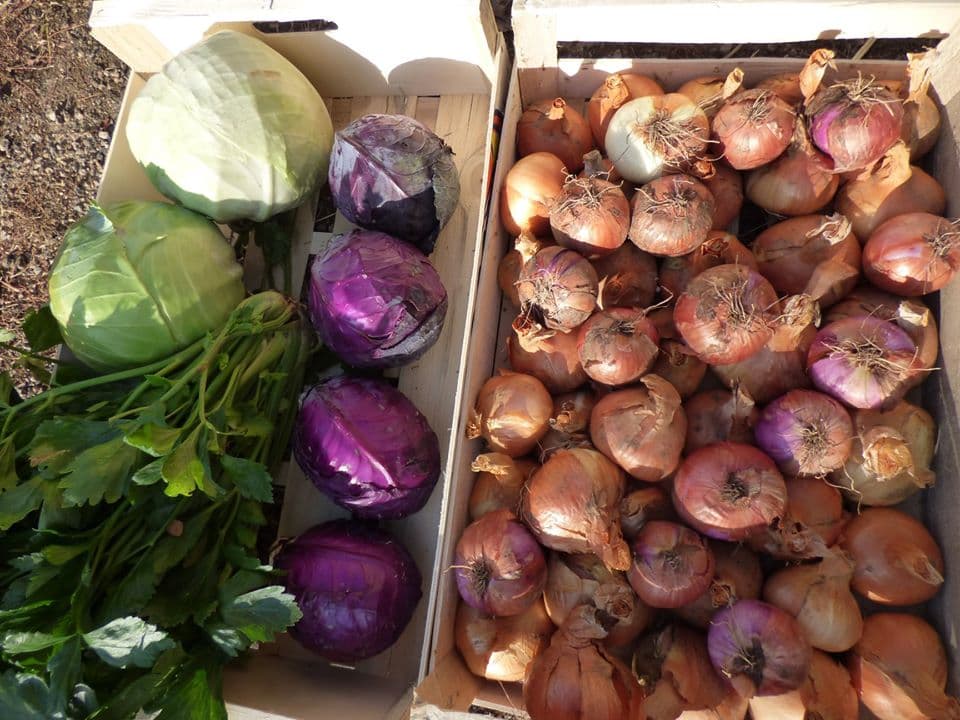 Le potager de la borie_2