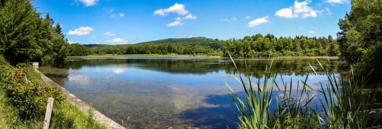 Saint Hilaire les Courbes_1