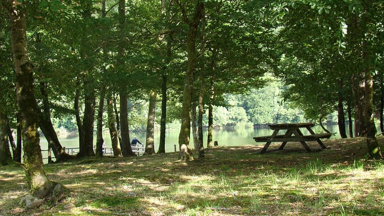 Saint Hilaire les Courbes_2