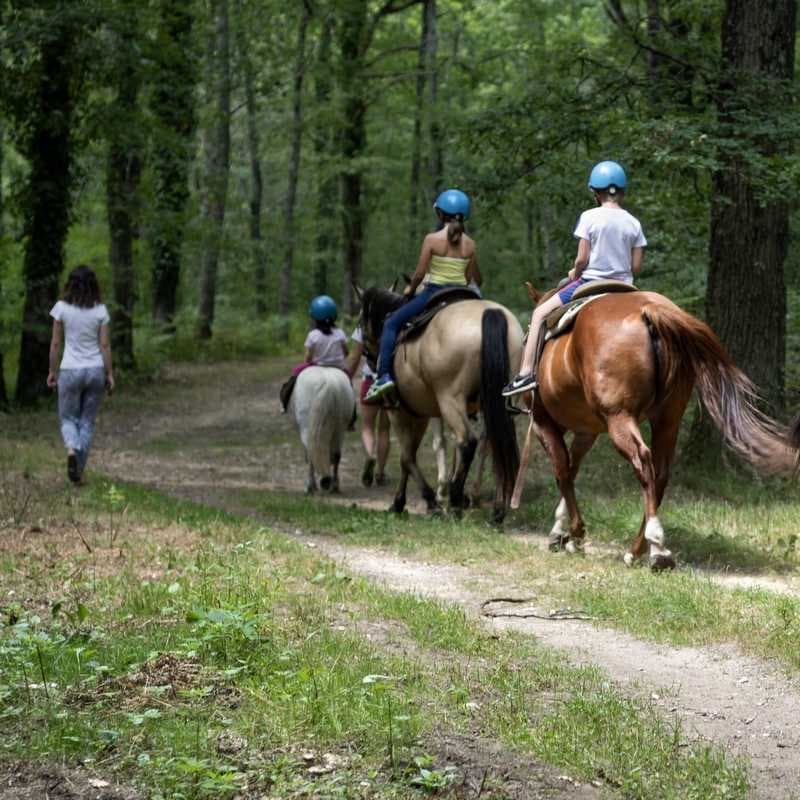 Ranch de Lauzerat_9