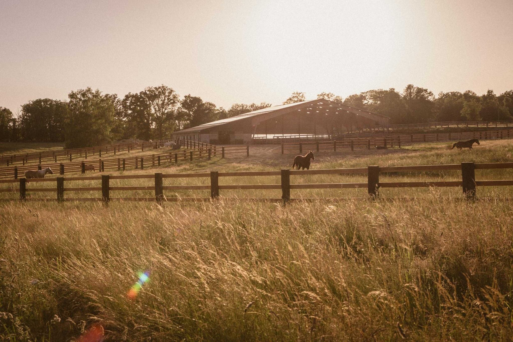 Ranch de Lauzerat_4