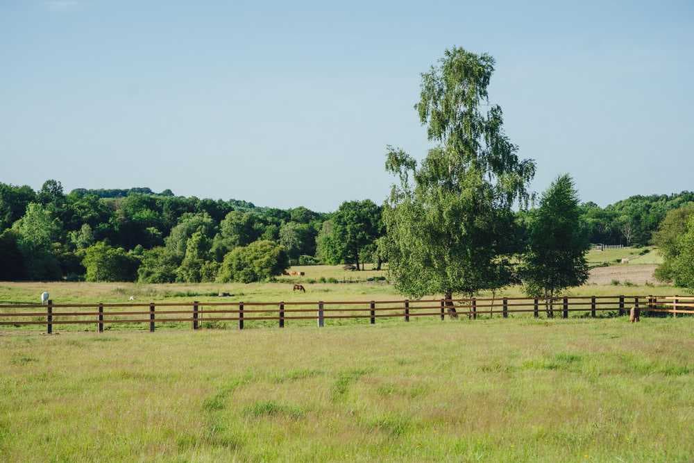 Ranch de Lauzerat_5