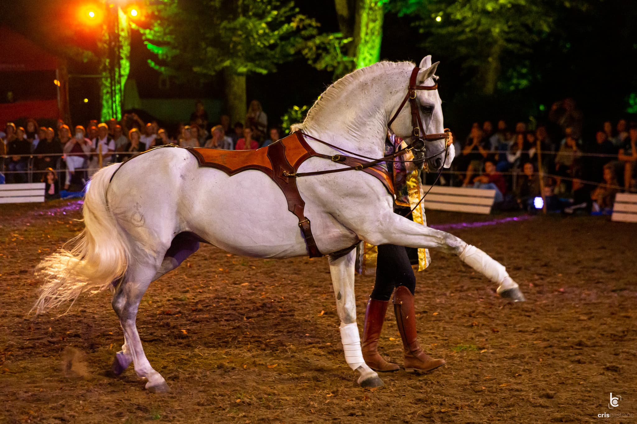 Spectacle équestre_1