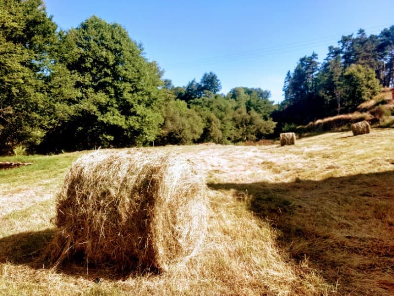 17-Aire naturelle Moulin de Lacombe_23
