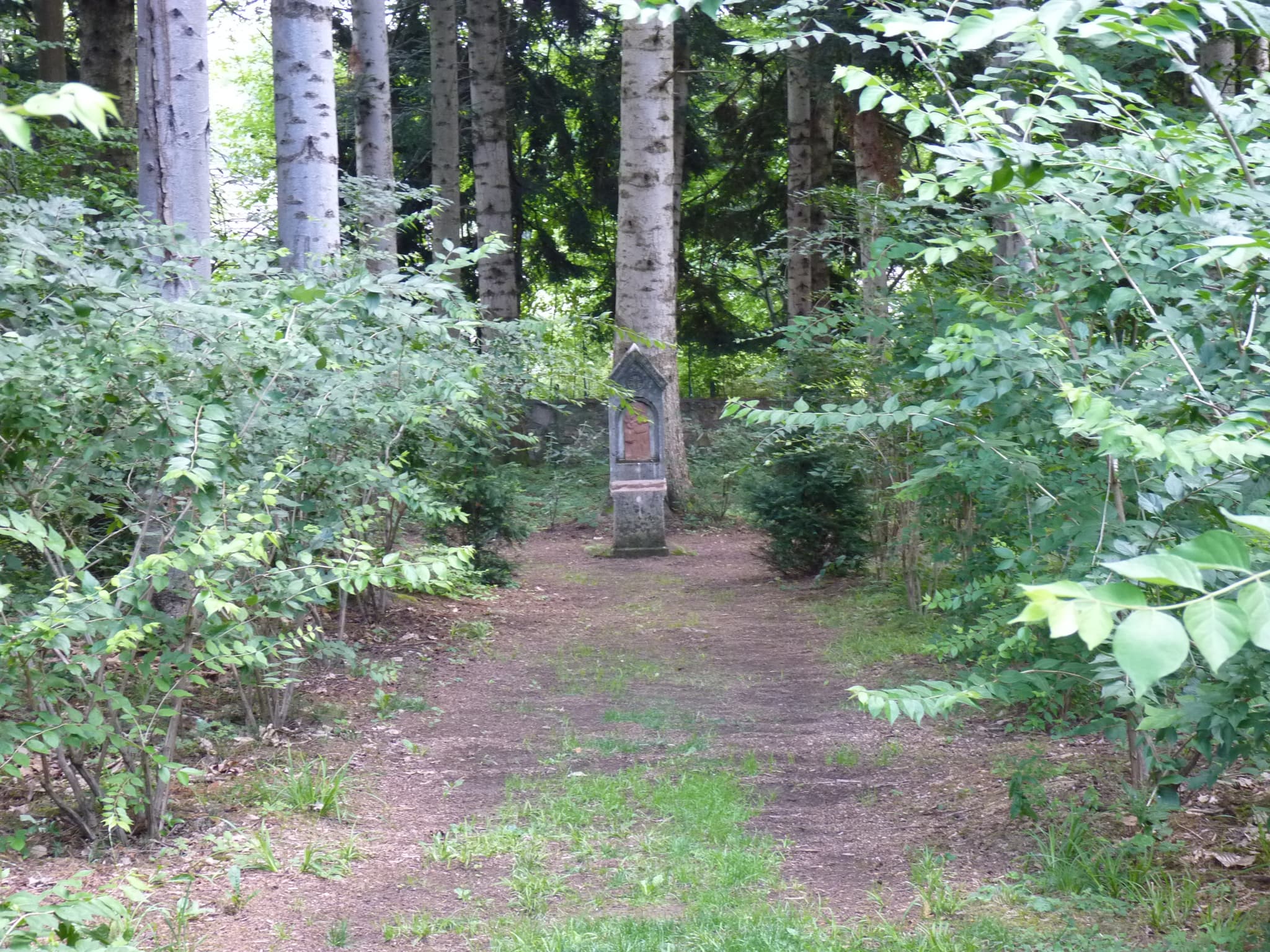 17.07.26 ArboretumNeuvic 060