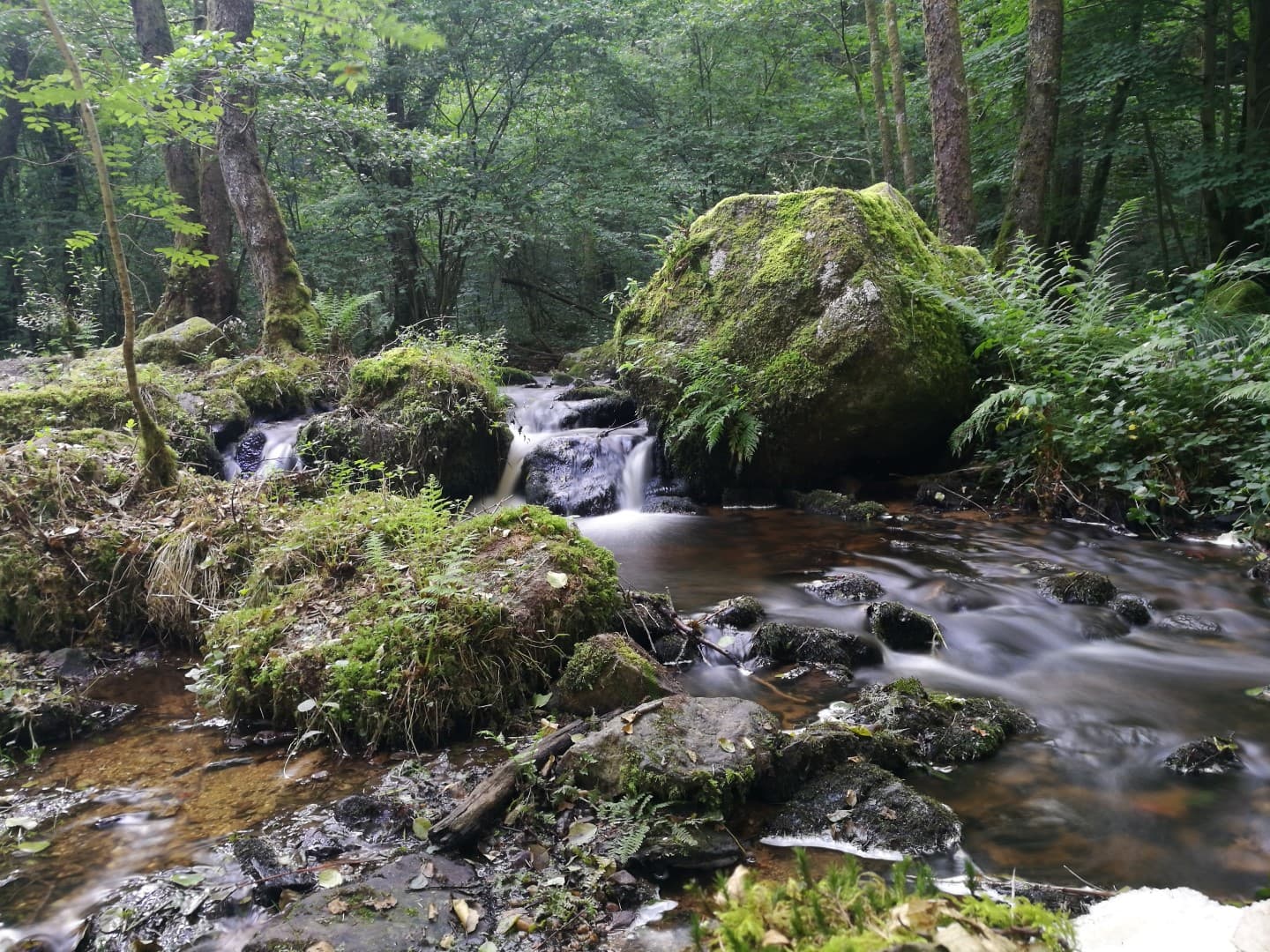 Les gorges du Verger_2