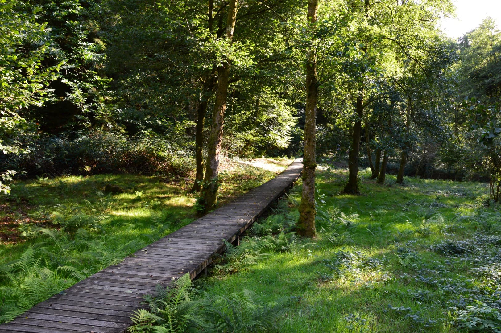 Les gorges du Verger_3