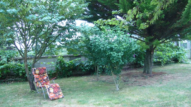 Le jardin