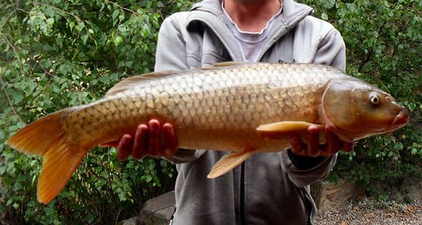 Gite insolites: Domaine de la Vergnolle "Fustes en bois le pêcheur"_2