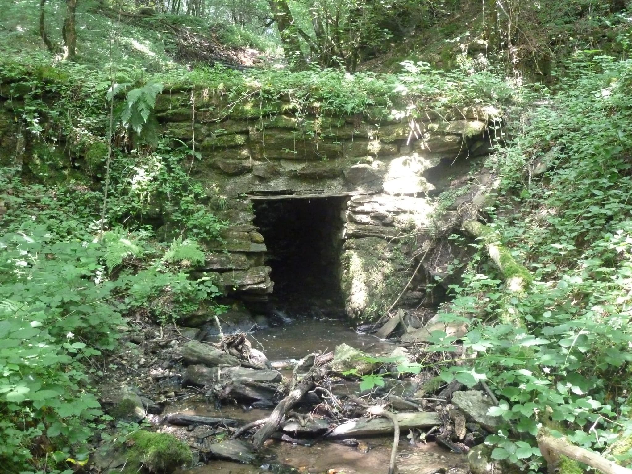 Le Pont gallo-romain et l’aqueduc du Bois Ferrut à Linard_2