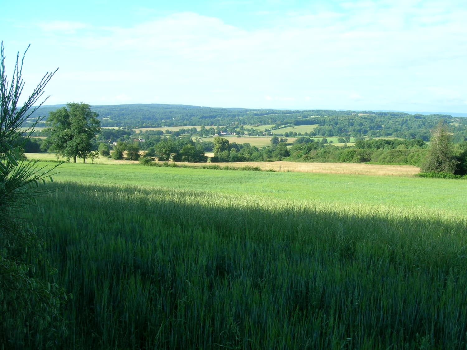 Le site de la Péricholles_2