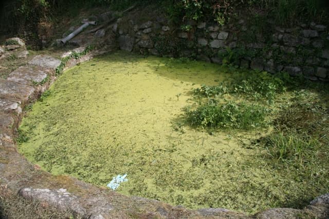 La fontaine et le lavoir du Bourg_1