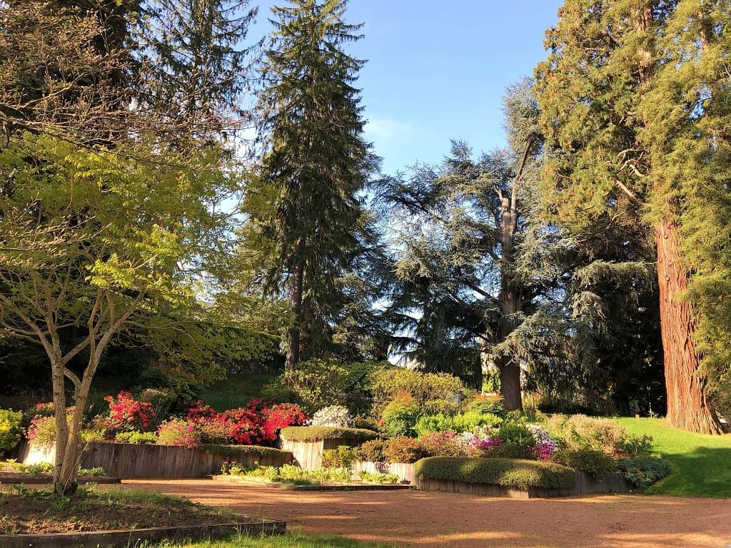 Le Jardin Public Ferdinand Villard_3