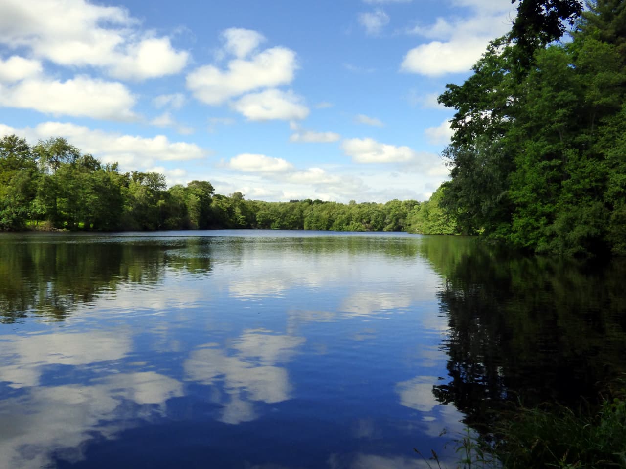 Etang de la Petite Cazine_4