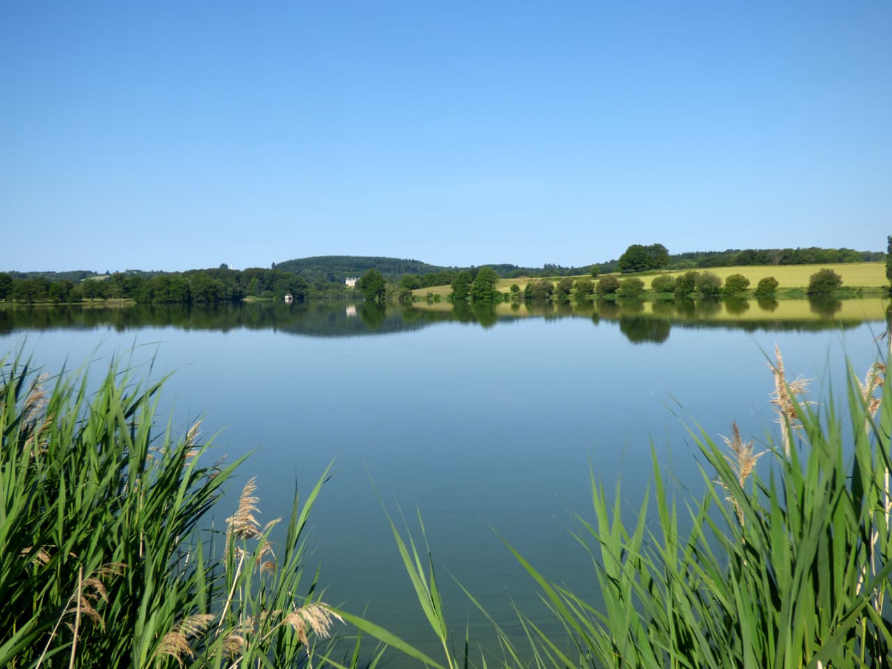 Etang de la Grande Cazine_1