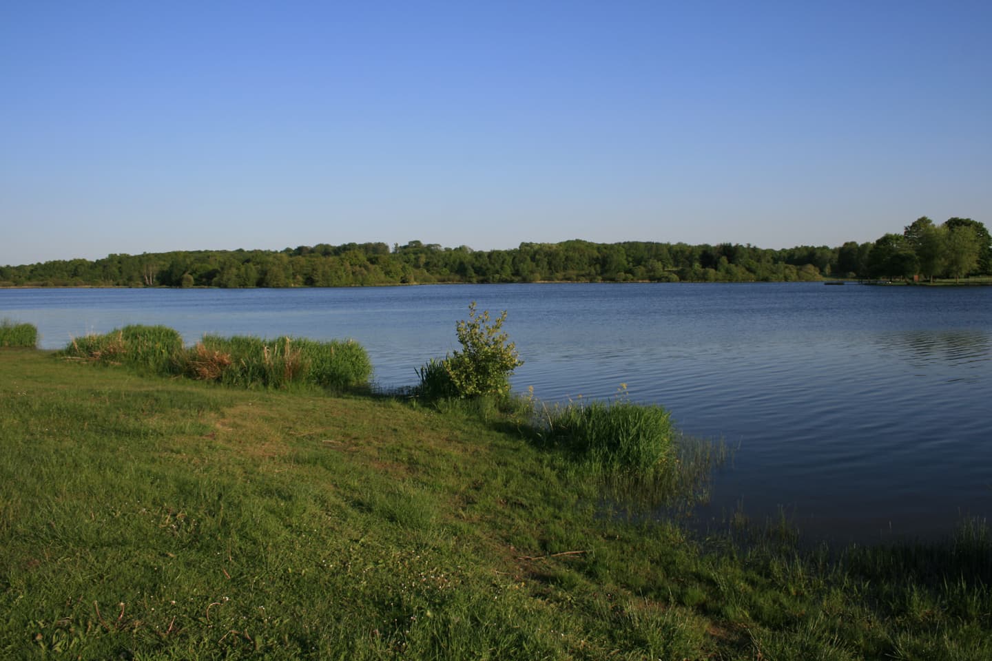 Etang de la Chaume_2