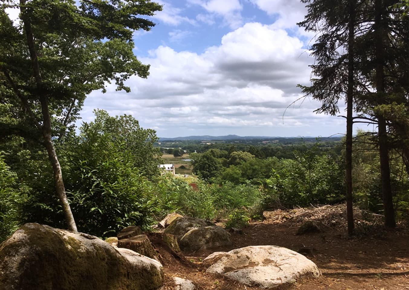 Bois de la Fôt, point de vue_1