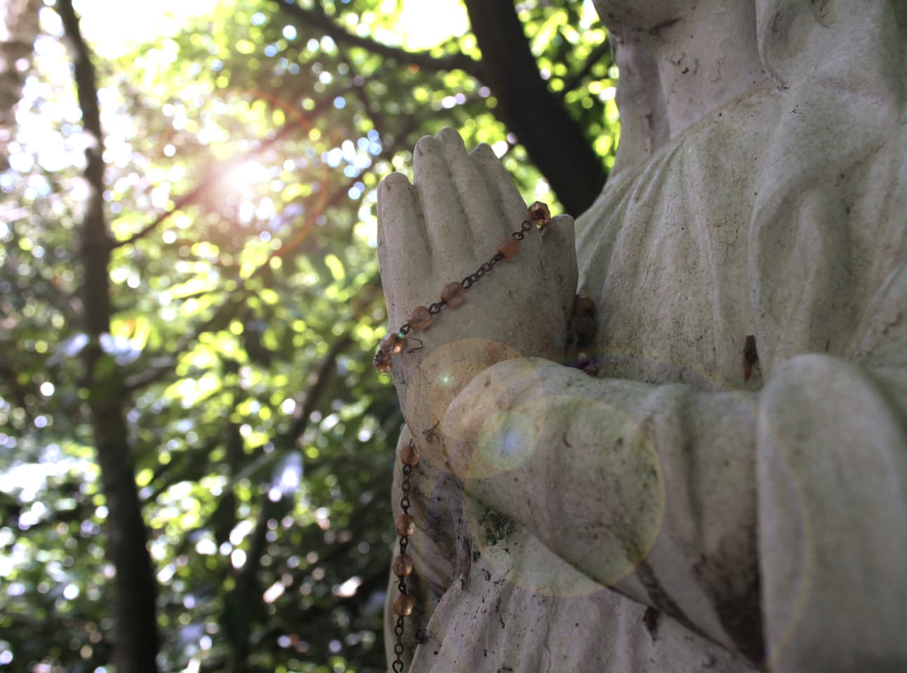 Bois de la Fôt_3