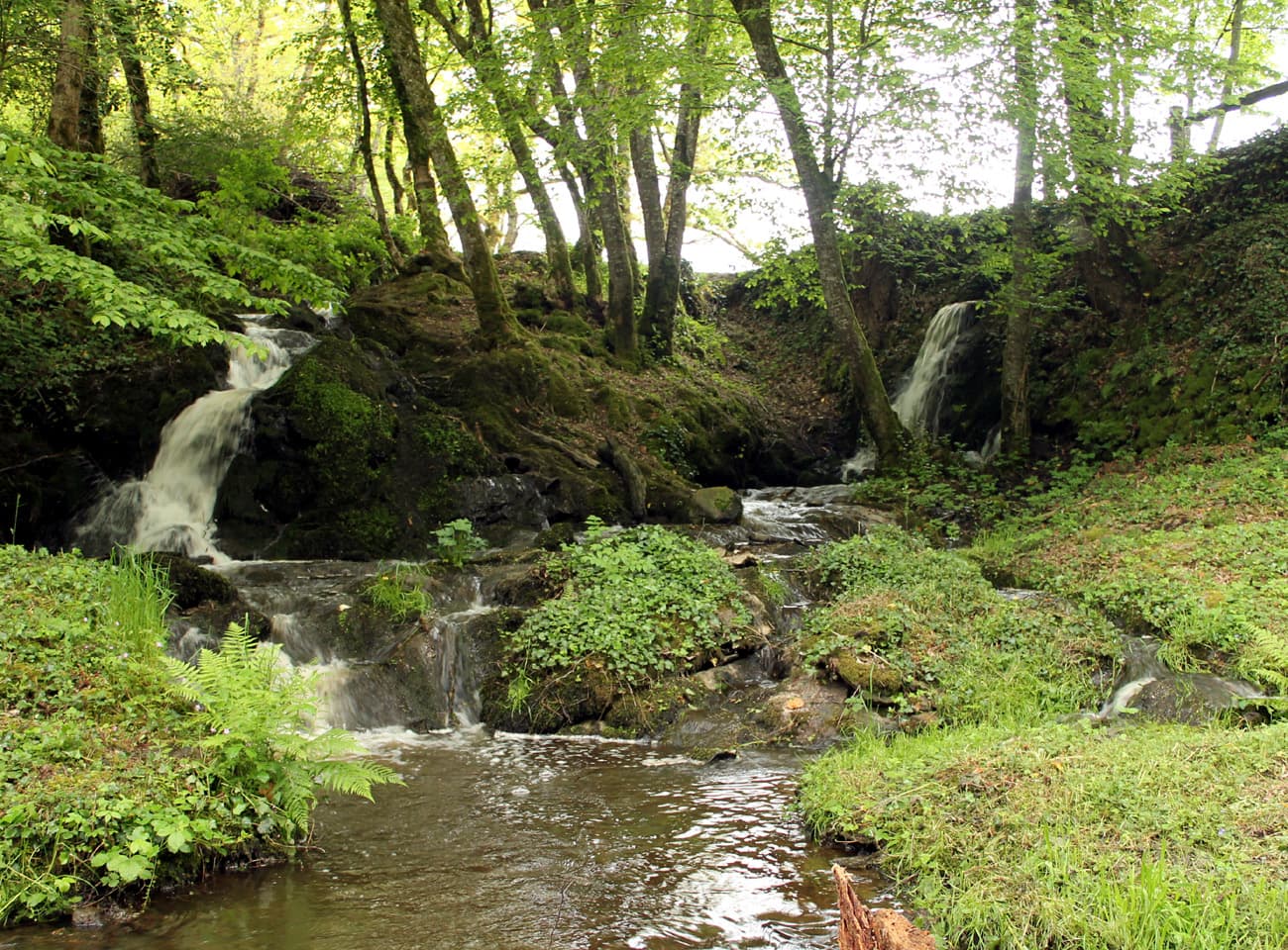 vallon de la Ramade_4