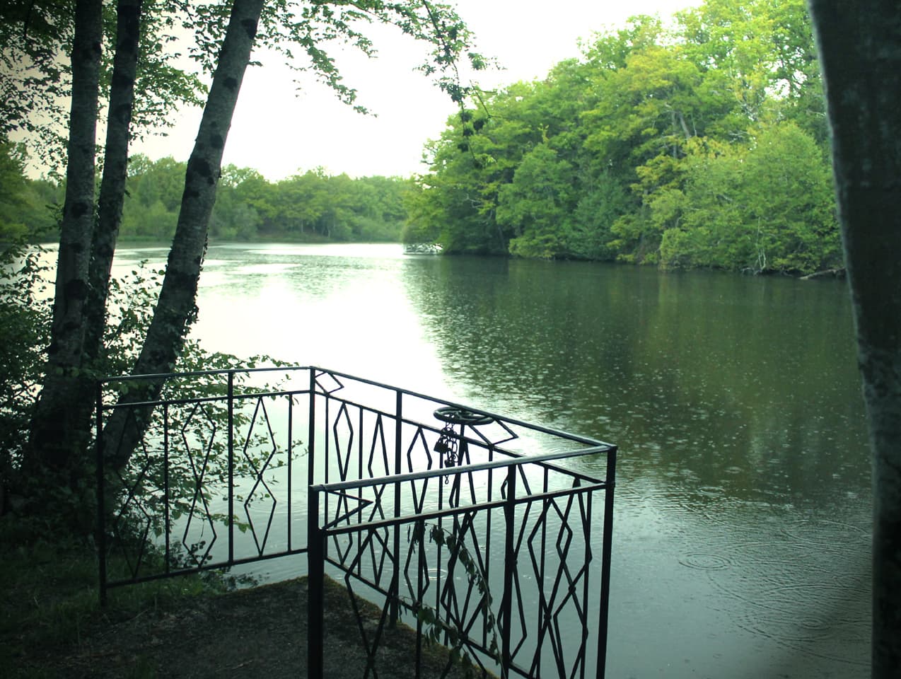 Etang de la Ramade_6