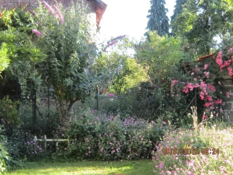 Le lilas_3