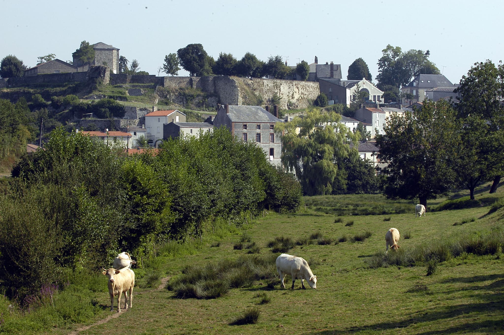 mauleon-paysage (pw)