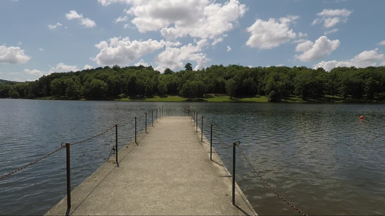 Plan d'eau de Châteauneuf-la-Forêt_4