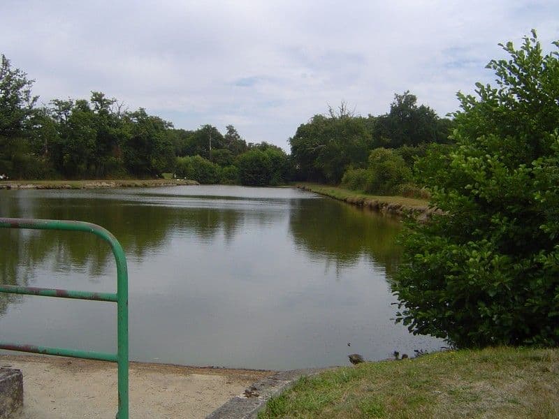 Camping Les Forges_6