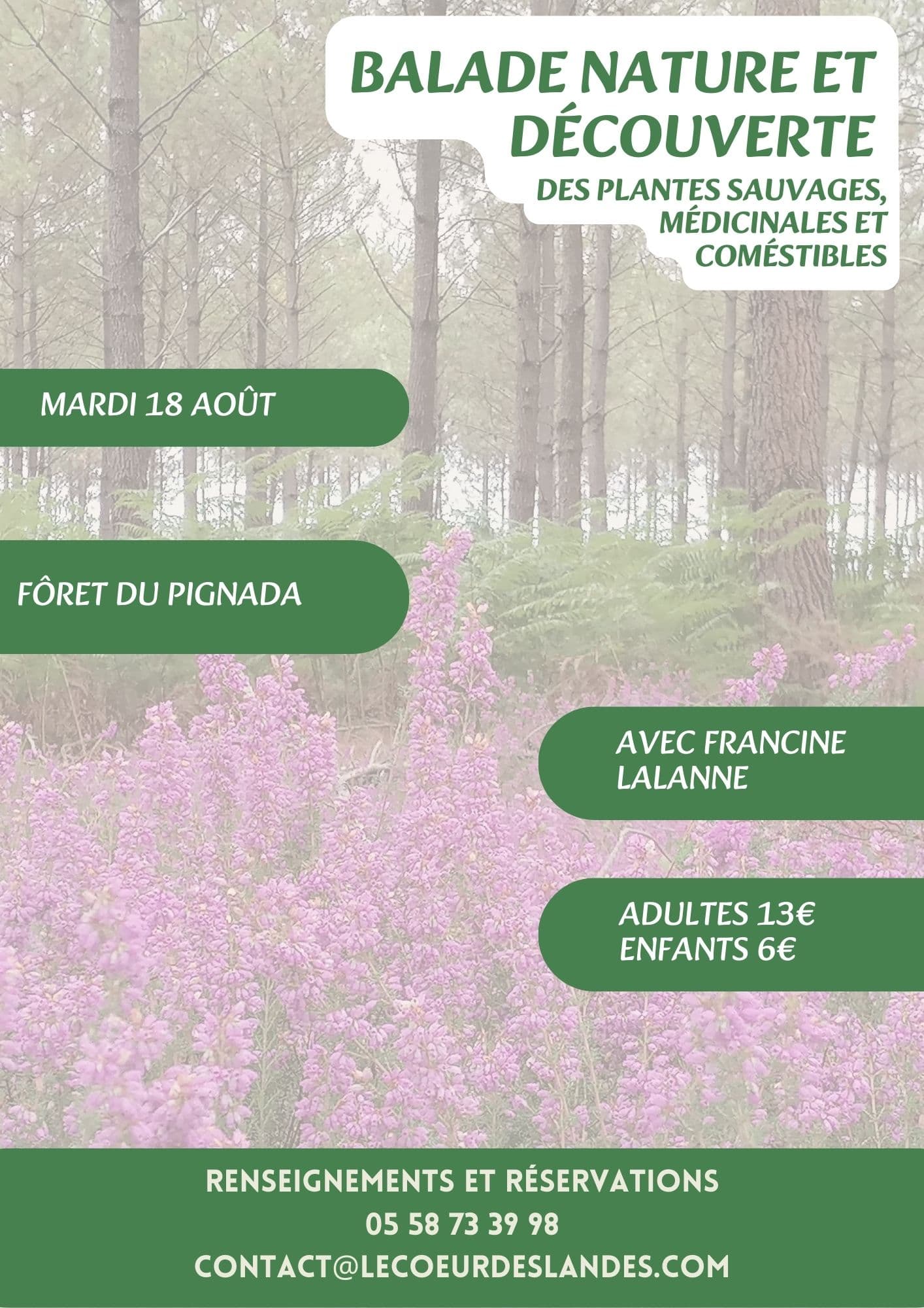 Visites, balades de l'OT - 10