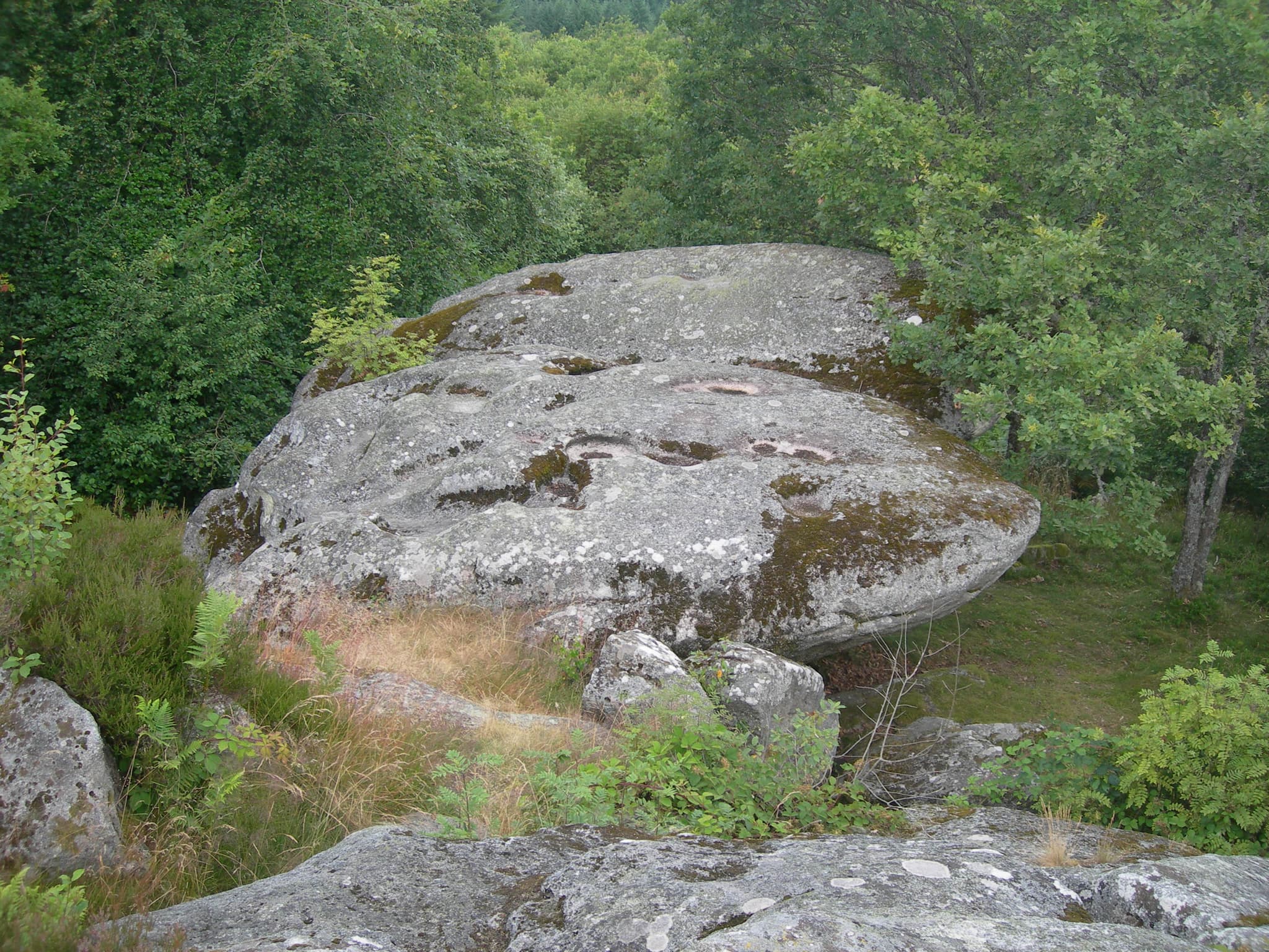 Roches Brunagères_1